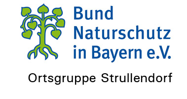BN-Strullendorf
