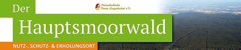 Hauptsmoorwald Hauptsmoorwald